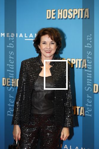 Amsterdam 4 december 2023
Premiere de hospita in het nieuwe delamar theater. Annemieke Ruyten
