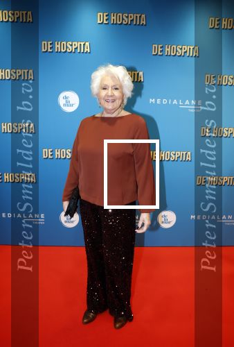 Amsterdam 4 december 2023
Premiere de hospita in het nieuwe delamar theater. Annewil Blankers kwam met haar zoons