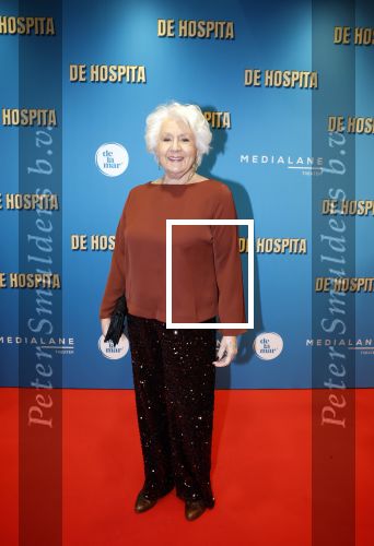 Amsterdam 4 december 2023
Premiere de hospita in het nieuwe delamar theater. Annewil Blankers kwam met haar zoons