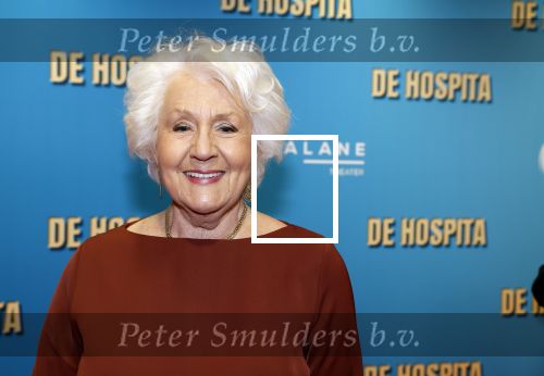 Amsterdam 4 december 2023
Premiere de hospita in het nieuwe delamar theater. Annewil Blankers kwam met haar zoons