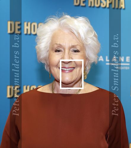 Amsterdam 4 december 2023
Premiere de hospita in het nieuwe delamar theater. Annewil Blankers kwam met haar zoons