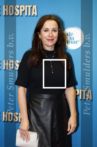 Amsterdam 4 december 2023
Premiere de hospita in het nieuwe delamar theater. Annick Boer