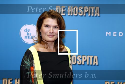 Amsterdam 4 december 2023
Premiere de hospita in het nieuwe delamar theater.
