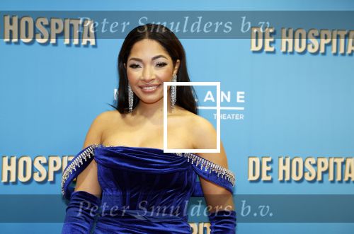 Amsterdam 4 december 2023
Premiere de hospita in het nieuwe delamar theater. April darby