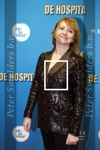 Amsterdam 4 december 2023
Premiere de hospita in het nieuwe delamar theater. Bianca Krijgsman met  partner