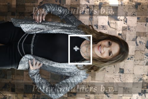 Amsterdam 11 juni 2023
Presentatie cd Jeffrey Schenk en Bobbie Eakes bij the Harbour Club.