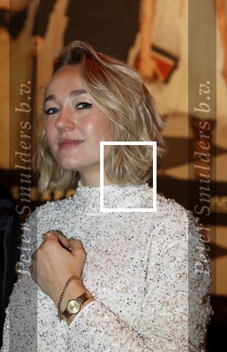 Amsterdam 9 december 2023
VIP dag van de luxury fair in de RAI. Carolien Spoor
