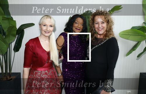 Leidschendam 18 december 203
Society Lunch in Fletcher Hotel Leidschendam. Christine Wiltshire