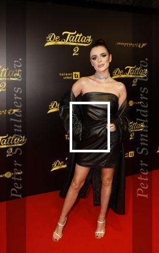 Amsterdam 12 december 2023
Premiere de tata\'s in Tuschinski. Dianne v d Eng