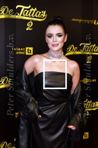 Amsterdam 12 december 2023
Premiere de tata\'s in Tuschinski. Dianne v d Eng