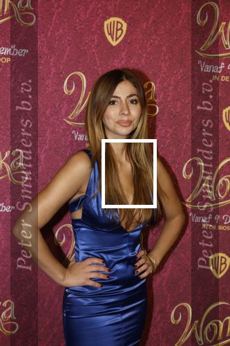 Amsterdam 8 december 2023
Premiere Wonka in Pathe Noord. Dolshe Gulsen met Luuk v d Rijt