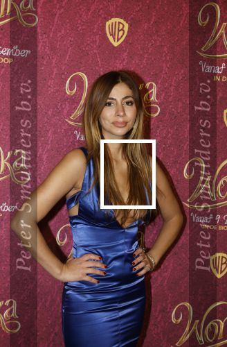 Amsterdam 8 december 2023
Premiere Wonka in Pathe Noord. Dolshe Gulsen met Luuk v d Rijt