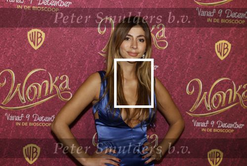 Amsterdam 8 december 2023
Premiere Wonka in Pathe Noord. Dolshe Gulsen met Luuk v d Rijt