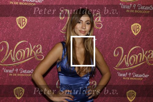 Amsterdam 8 december 2023
Premiere Wonka in Pathe Noord. Dolshe Gulsen met Luuk v d Rijt