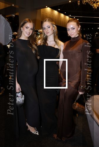 Amsterdam 9 december 2023
VIP dag van de luxury fair in de RAI. Dennis Bergkamp en zijn vrouw Henriette en dochters Estelle ( zwanger) Saffron en Yasmin op de stand van Gassan Diamonds . presentatie gouden bankbiljet Dennis Bergkamp. david Bijlsma reikt het eerste exemplaar uit.
