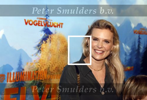 Amsterdam 2 december 2023
Premiere vogelvlucht in Pathe arena .
De cast met oa Floris Gobel Edsilia Rombley Linda Wagemakers Rayen Panday Posy Bakkum Imaani Oosterhuis Karin Bloemen en Thomas Koekkoek. Eveline Stallaart met zoons