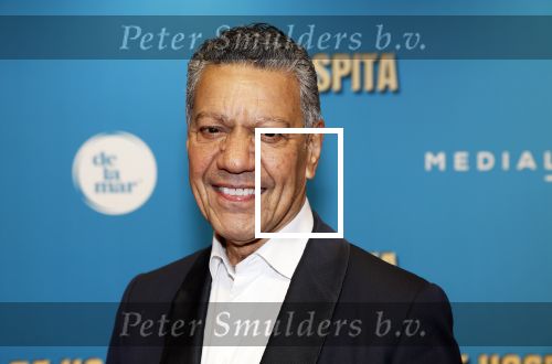 Amsterdam 4 december 2023
Premiere de hospita in het nieuwe delamar theater. Frank sanders