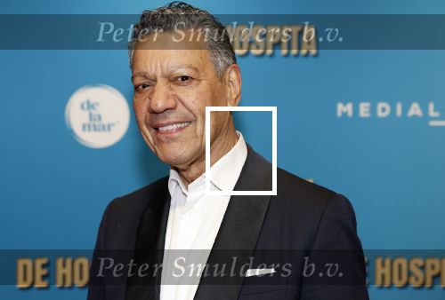 Amsterdam 4 december 2023
Premiere de hospita in het nieuwe delamar theater. Frank sanders