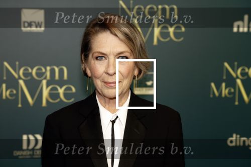 Amsterdam, 11 December 2023
Premiere Neem me Mee
Geert de Jong