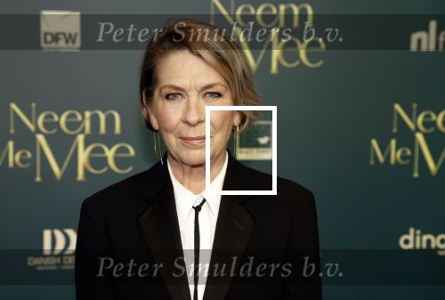 Amsterdam, 11 December 2023
Premiere Neem me Mee
Geert de Jong