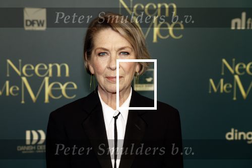 Amsterdam, 11 December 2023
Premiere Neem me Mee
Geert de Jong