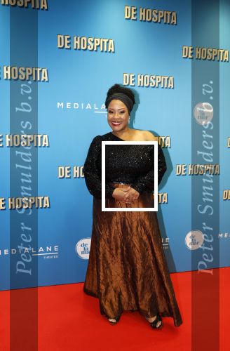Amsterdam 4 december 2023
Premiere de hospita in het nieuwe delamar theater. Gitty Pregers