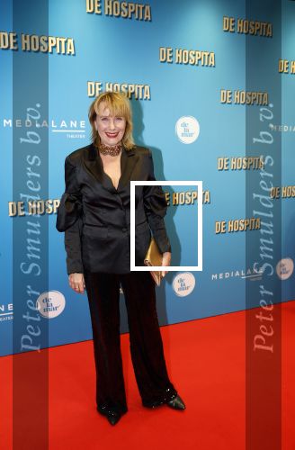 Amsterdam 4 december 2023
Premiere de hospita in het nieuwe delamar theater. Inge Ipenburg