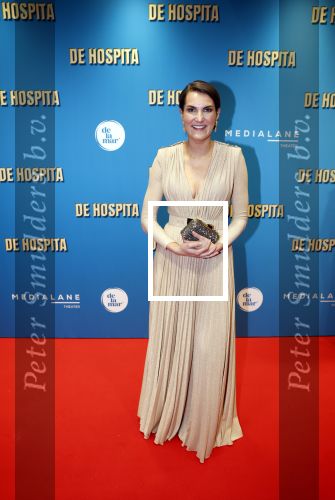 Amsterdam 4 december 2023
Premiere de hospita in het nieuwe delamar theater. Iris v d Ende kwam met een kennis