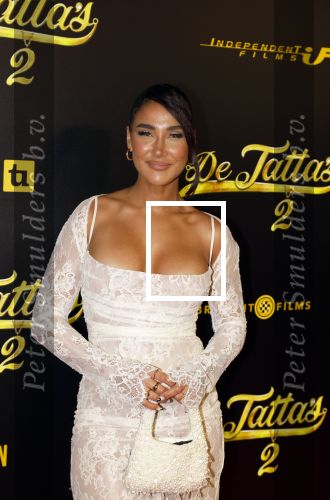 Amsterdam 12 december 2023
Premiere de tata\'s in Tuschinski. janice Blok