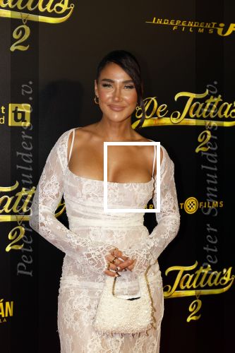 Amsterdam 12 december 2023
Premiere de tata\'s in Tuschinski. janice Blok