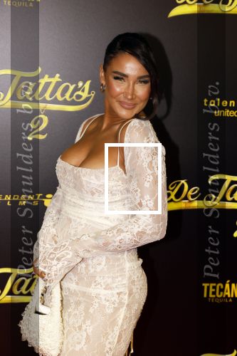 Amsterdam 12 december 2023
Premiere de tata\'s in Tuschinski. janice Blok