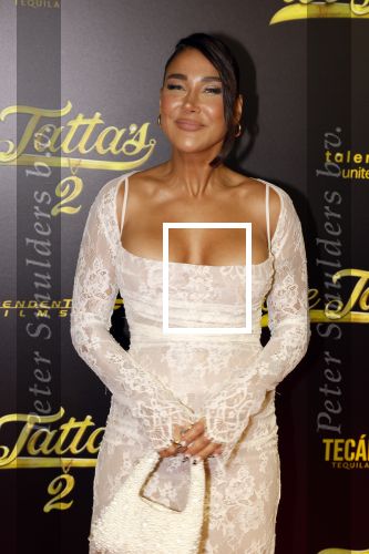 Amsterdam 12 december 2023
Premiere de tata\'s in Tuschinski. janice Blok