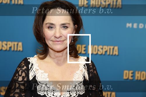Amsterdam 4 december 2023
Premiere de hospita in het nieuwe delamar theater. Jet de Nijs