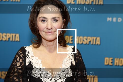 Amsterdam 4 december 2023
Premiere de hospita in het nieuwe delamar theater. Jet de Nijs