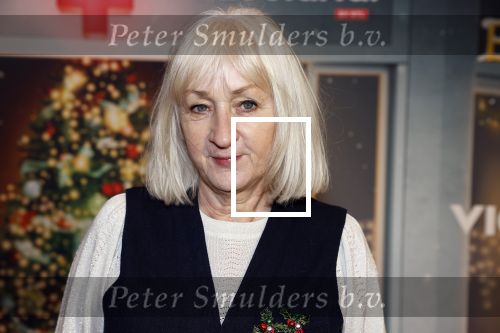 Amsterdam 6 december 2023
Premiere eerste hulp bij kerst  in Pathe Noord van Videoland. Joke Tjalsma
