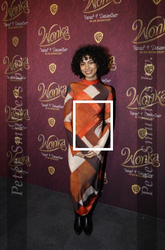 Amsterdam 8 december 2023
Premiere Wonka in pathe Noord . Julia Tan met vriendin