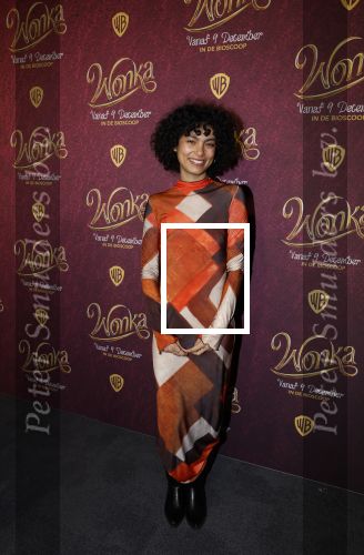 Amsterdam 8 december 2023
Premiere Wonka in pathe Noord . Julia Tan met vriendin