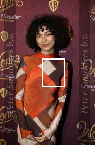 Amsterdam 8 december 2023
Premiere Wonka in pathe Noord . Julia Tan met vriendin