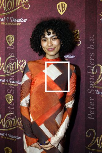 Amsterdam 8 december 2023
Premiere Wonka in pathe Noord . Julia Tan met vriendin