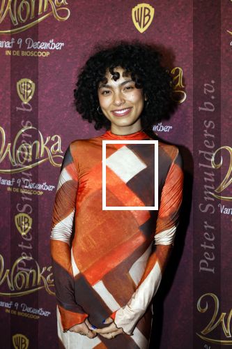 Amsterdam 8 december 2023
Premiere Wonka in pathe Noord . Julia Tan met vriendin