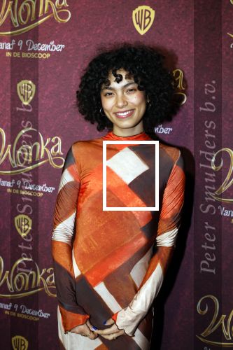 Amsterdam 8 december 2023
Premiere Wonka in pathe Noord . Julia Tan met vriendin
