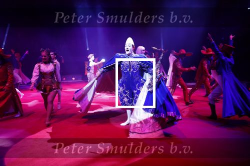 Amsterdam 20 december 2023
Premiere kerstcircus in Carre.