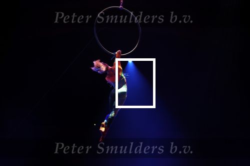 Amsterdam 20 december 2023
Premiere kerstcircus in Carre.