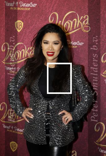Amsterdam 8 december 2023
Premiere Wonka in Pathe Noord. Kimmylien Nguyen met familie