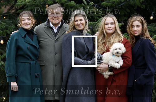 Den Haag 22 december 2023
Fotouurtje met Koning Willem Alexander Koningin Maxima Prinses Amalia Prinses Alexia Prinses Ariane en hun hondje Mambo bij Huis ten Bosch .