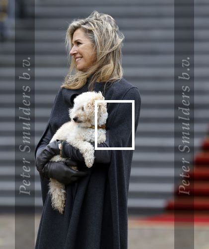 Den Haag 22 december 2023
Fotouurtje met Koning Willem Alexander Koningin Maxima Prinses Amalia Prinses Alexia Prinses Ariane en hun hondje Mambo bij Huis ten Bosch .