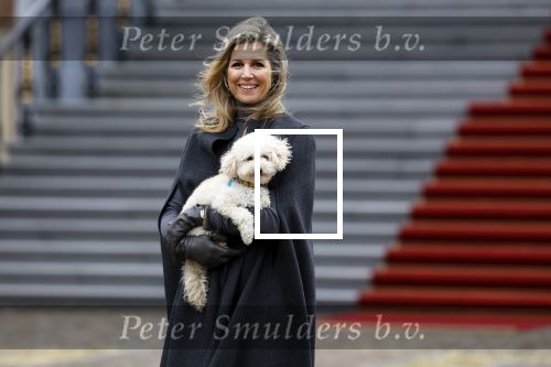 Den Haag 22 december 2023
Fotouurtje met Koning Willem Alexander Koningin Maxima Prinses Amalia Prinses Alexia Prinses Ariane en hun hondje Mambo bij Huis ten Bosch .