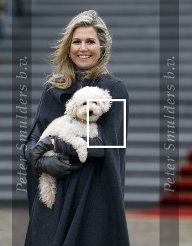 Den Haag 22 december 2023
Fotouurtje met Koning Willem Alexander Koningin Maxima Prinses Amalia Prinses Alexia Prinses Ariane en hun hondje Mambo bij Huis ten Bosch .