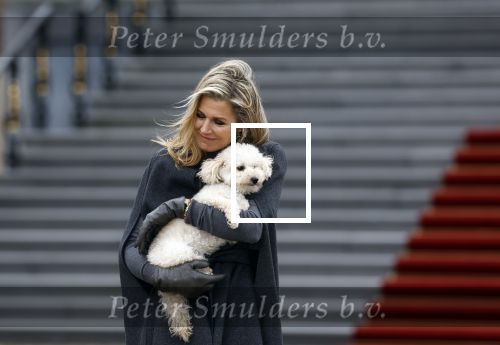 Den Haag 22 december 2023
Fotouurtje met Koning Willem Alexander Koningin Maxima Prinses Amalia Prinses Alexia Prinses Ariane en hun hondje Mambo bij Huis ten Bosch .