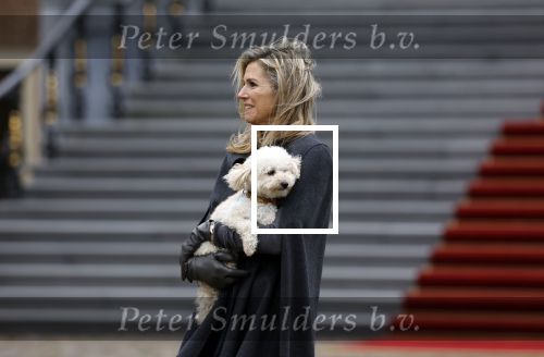 Den Haag 22 december 2023
Fotouurtje met Koning Willem Alexander Koningin Maxima Prinses Amalia Prinses Alexia Prinses Ariane en hun hondje Mambo bij Huis ten Bosch .